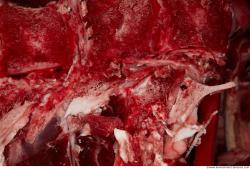 Photo Textures of RAW Beef Meat